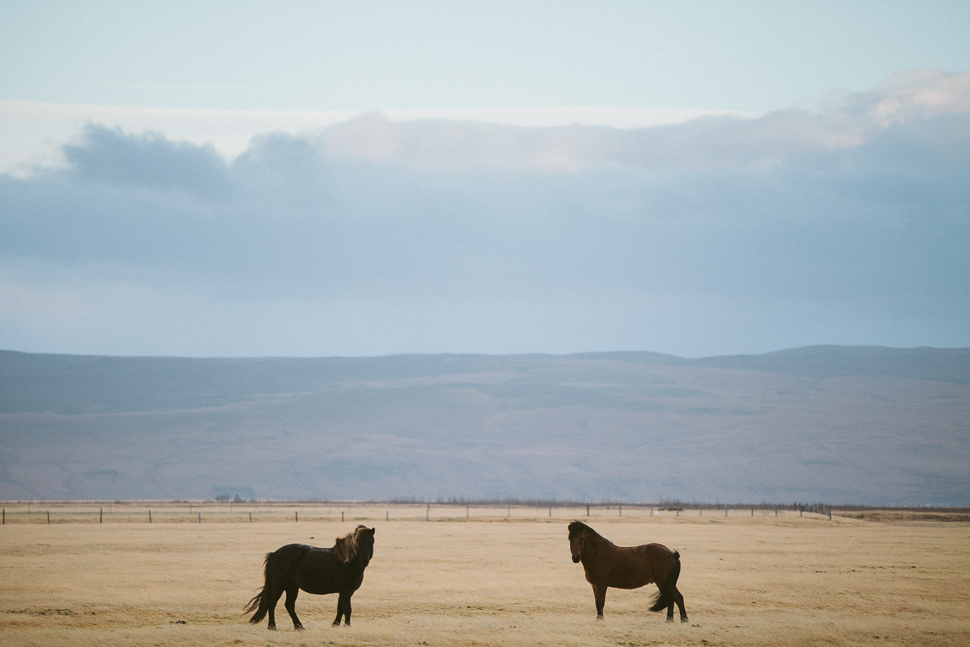 iceland-038