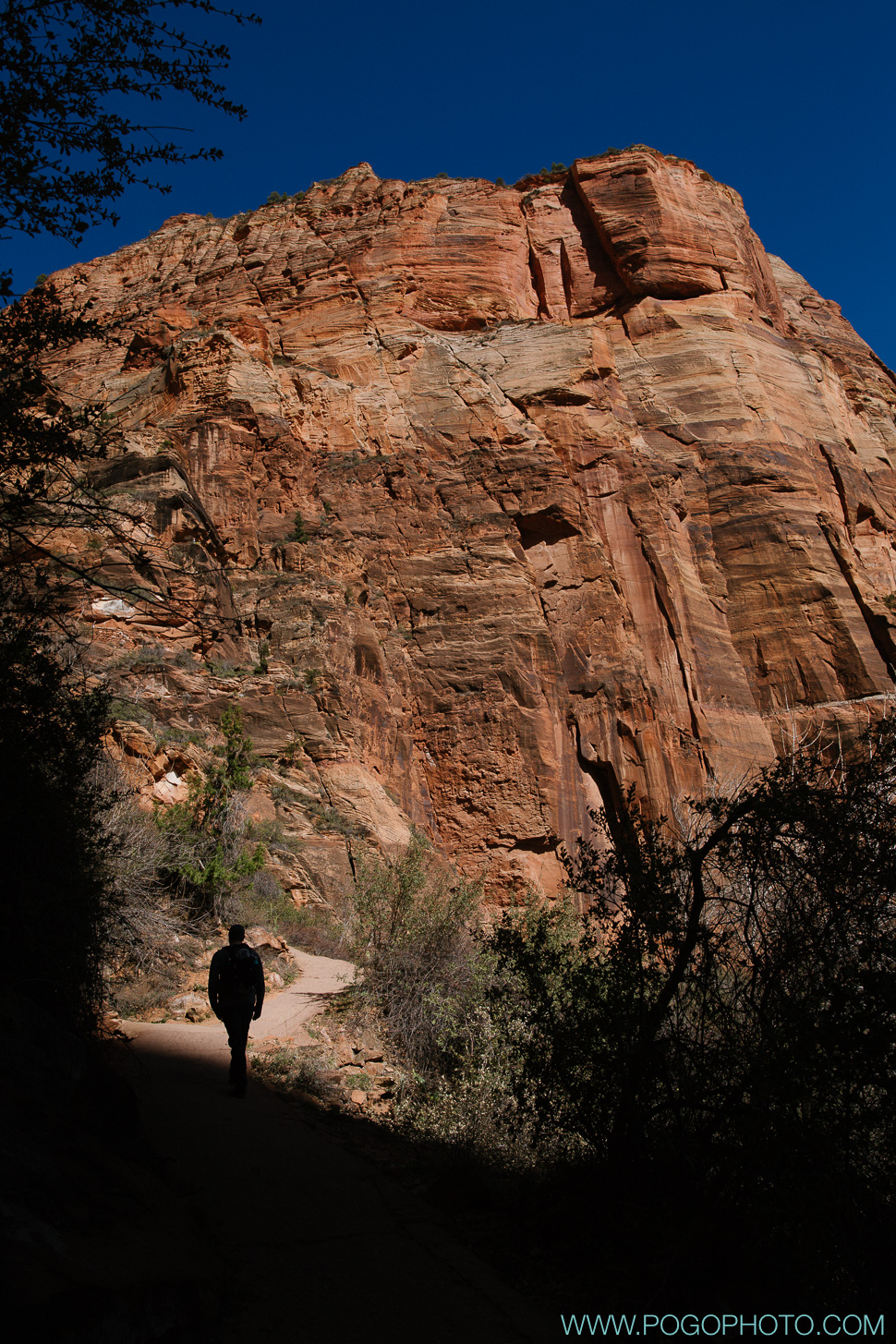 Angels Landing climb in Zion National Park